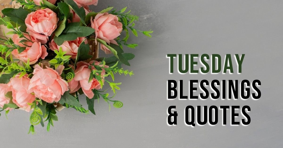Good morning happy tuesday