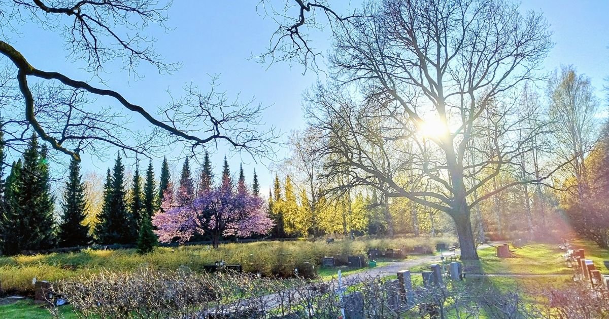Good afternoon blessings quotes for him